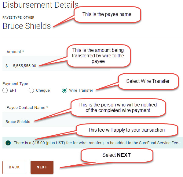 How do I enter the recipient's bank information for a Wire Transfer